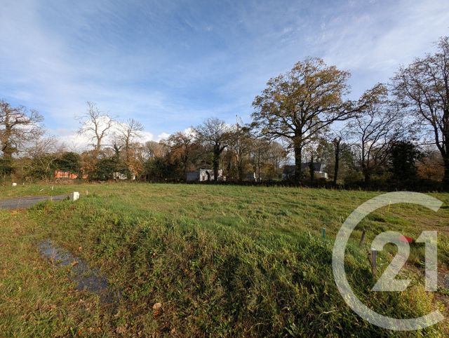 terrain à vendre - 461.0 m2 - PEAULE - 56 - BRETAGNE - Century 21 Jego Immobilier