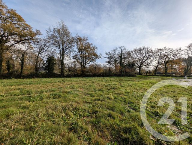 terrain à vendre - 461.0 m2 - PEAULE - 56 - BRETAGNE - Century 21 Jego Immobilier