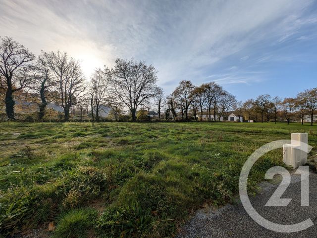 terrain à vendre - 480.0 m2 - PEAULE - 56 - BRETAGNE - Century 21 Jego Immobilier