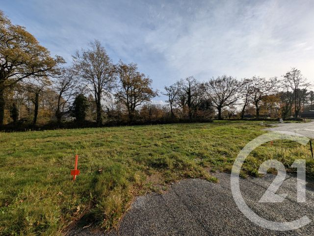 terrain - PEAULE - 56