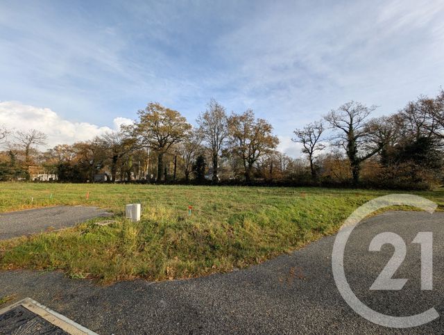 terrain à vendre - 469.0 m2 - PEAULE - 56 - BRETAGNE - Century 21 Jego Immobilier
