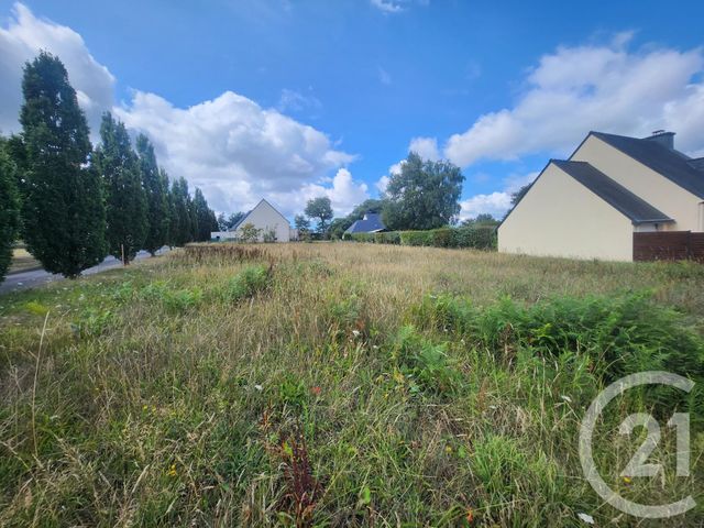 terrain à vendre - 543.0 m2 - NOYAL MUZILLAC - 56 - BRETAGNE - Century 21 Jego Immobilier