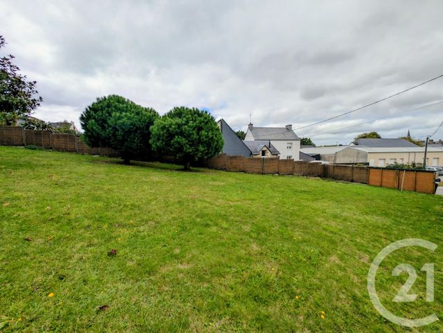 terrain à vendre - 577.0 m2 - MARZAN - 56 - BRETAGNE - Century 21 Jego Immobilier