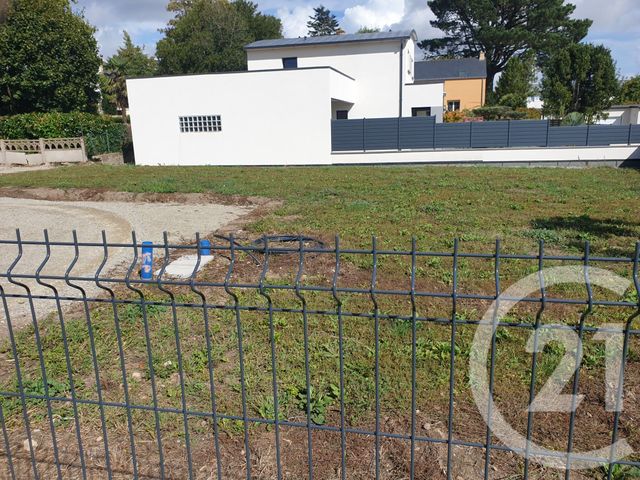 terrain - MUZILLAC - 56