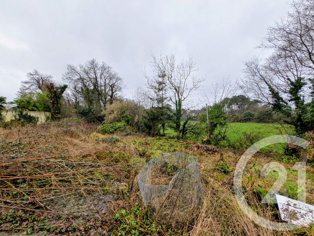 maison à vendre - 3 pièces - 117.0 m2 - PEAULE - 56 - BRETAGNE - Century 21 Jego Immobilier