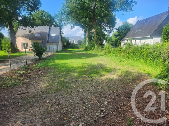 terrain à vendre - 665.0 m2 - MUZILLAC - 56 - BRETAGNE - Century 21 Jego Immobilier