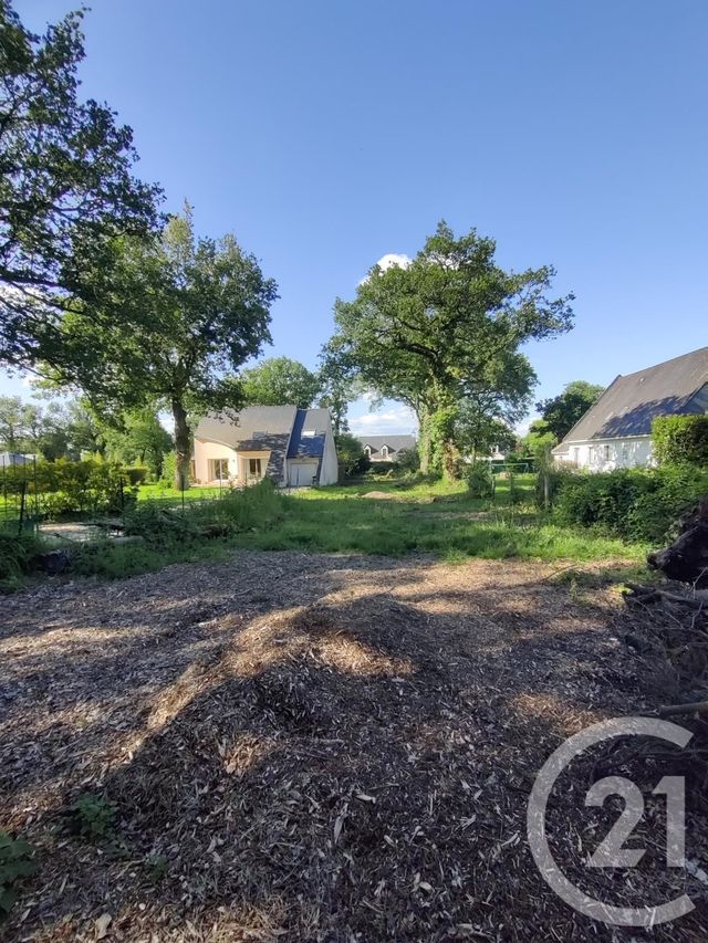 terrain à vendre - 665.0 m2 - MUZILLAC - 56 - BRETAGNE - Century 21 Jego Immobilier