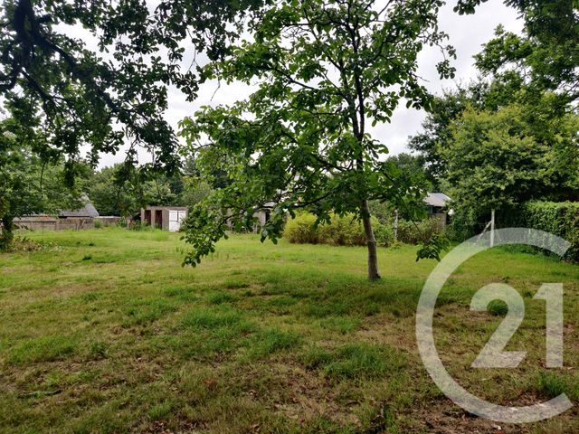 terrain à vendre - 1138.0 m2 - CAMOEL - 56 - BRETAGNE - Century 21 Jego Immobilier