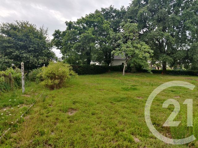 terrain à vendre - 1138.0 m2 - CAMOEL - 56 - BRETAGNE - Century 21 Jego Immobilier