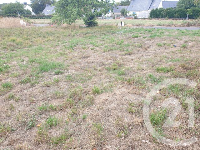terrain à vendre - 380.0 m2 - NOYAL MUZILLAC - 56 - BRETAGNE - Century 21 Jego Immobilier