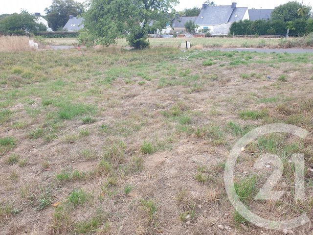 terrain à vendre - 380.0 m2 - NOYAL MUZILLAC - 56 - BRETAGNE - Century 21 Jego Immobilier
