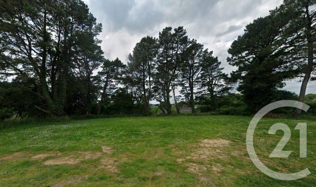 terrain à vendre - 1000.0 m2 - LIMERZEL - 56 - BRETAGNE - Century 21 Jego Immobilier