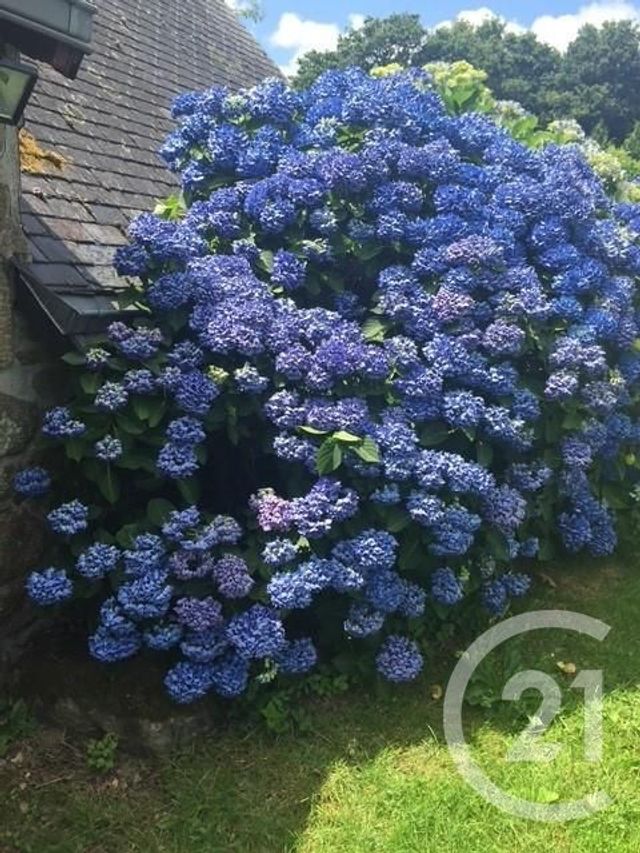 Afficher la photo en grand maison à vendre - 6 pièces - 121.0 m2 - NIVILLAC - 56 - BRETAGNE - Century 21 Jego Immobilier