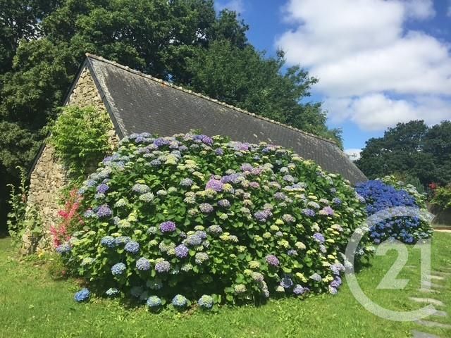 Afficher la photo en grand maison à vendre - 6 pièces - 121.0 m2 - NIVILLAC - 56 - BRETAGNE - Century 21 Jego Immobilier