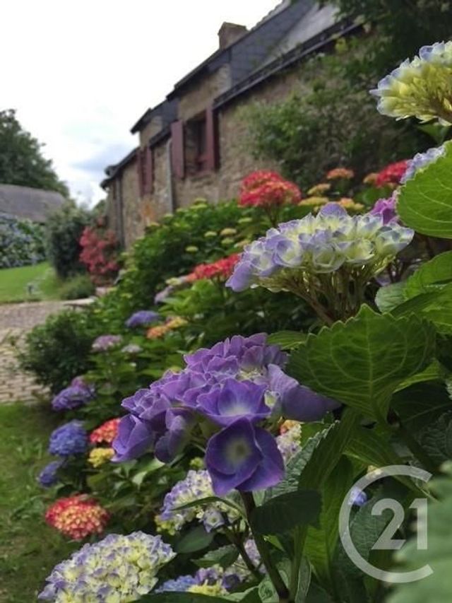 Afficher la photo en grand maison à vendre - 6 pièces - 121.0 m2 - NIVILLAC - 56 - BRETAGNE - Century 21 Jego Immobilier